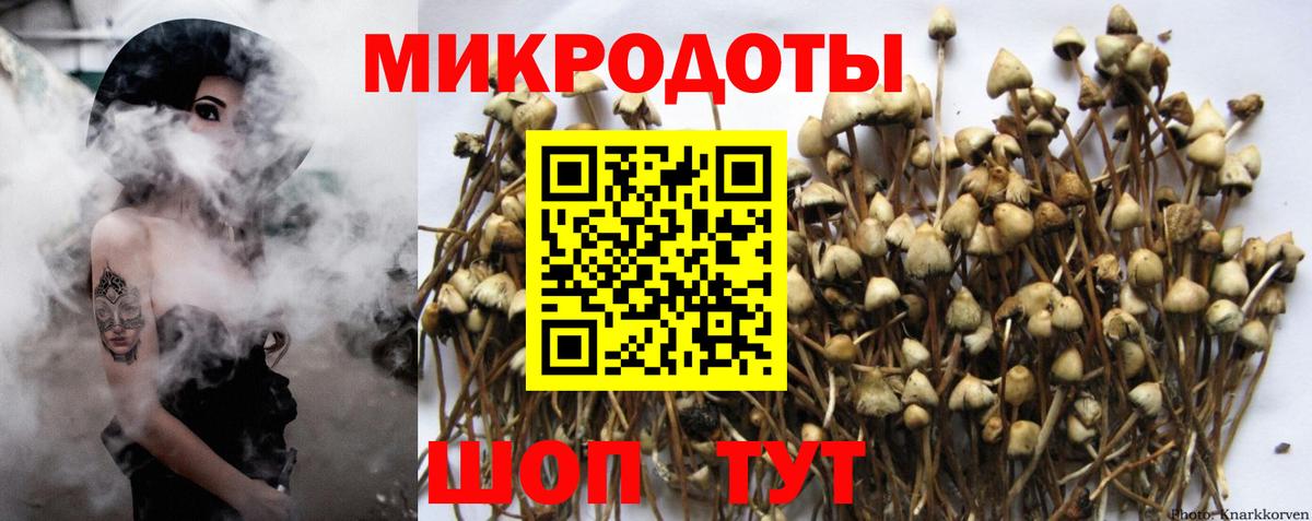Октябрьский  Галлюциногенные грибы Psilocybe  Вход с VPN 